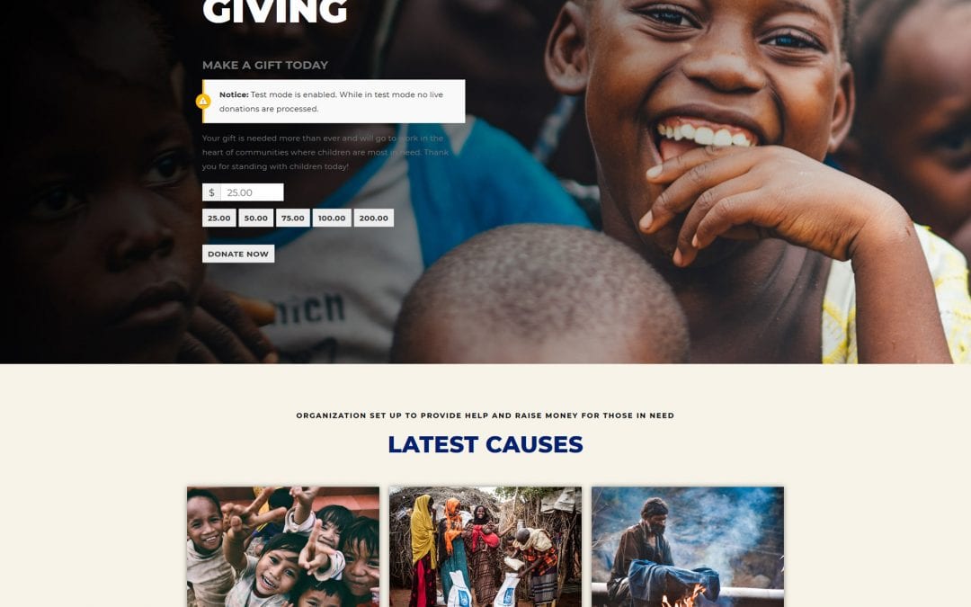 Top 20 Stunning WordPress Charity Theme In 2022