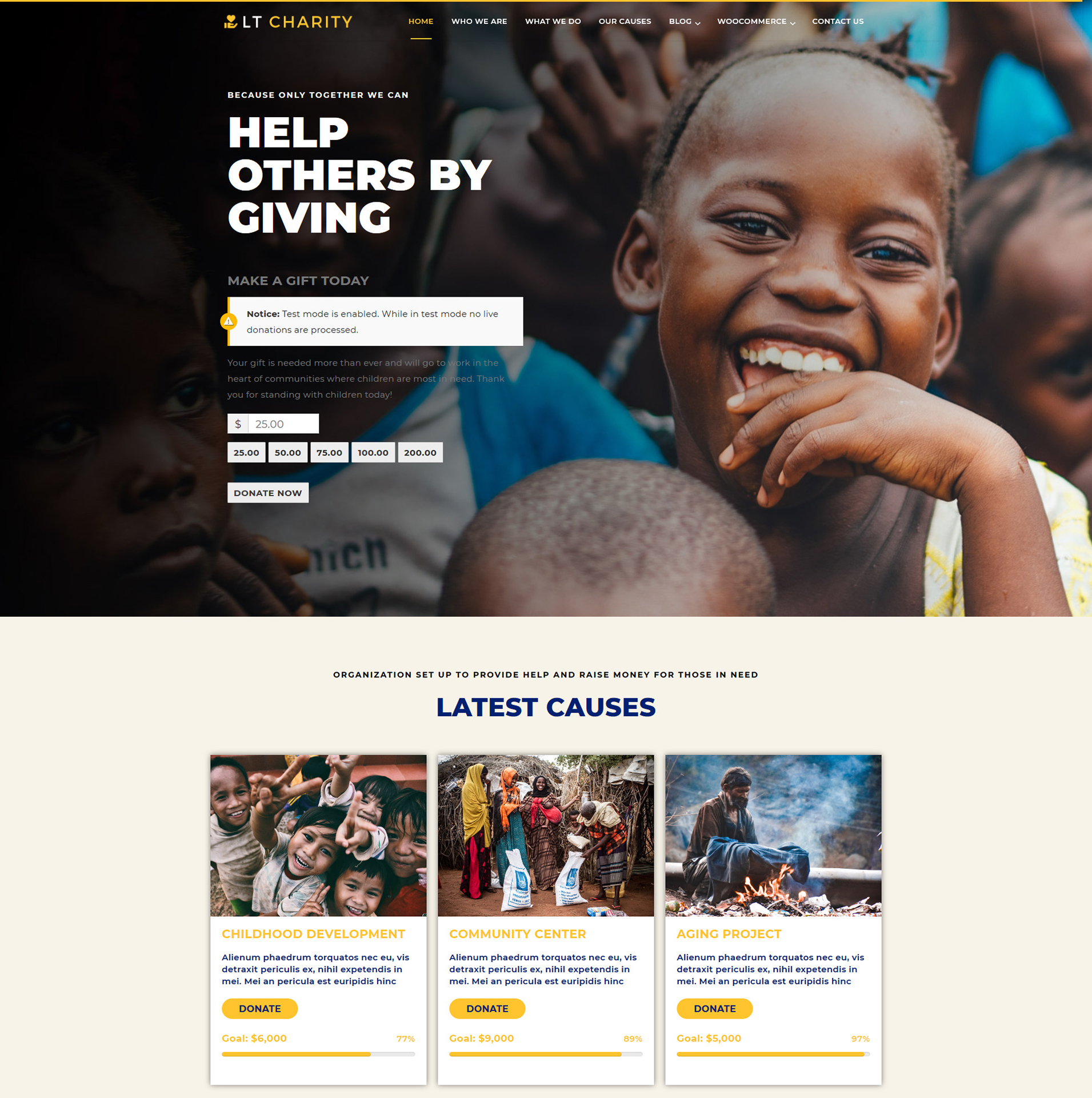 Lt Charity Wordpress Theme Full