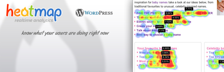 Wordpress Heatmap Plugin 1 