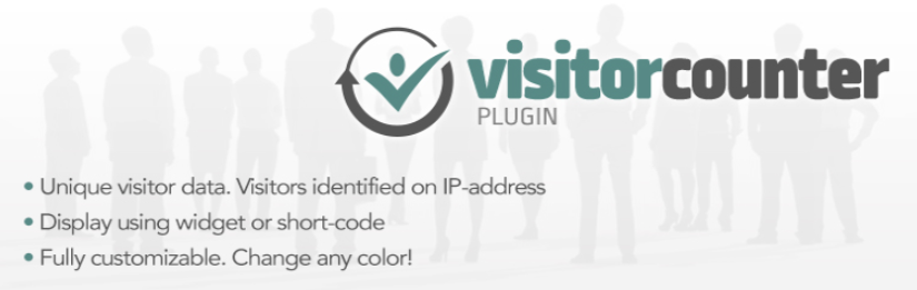 The Visitor Counter Plugin