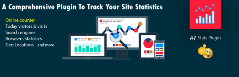 Visitor Traffic Real Time Statistics