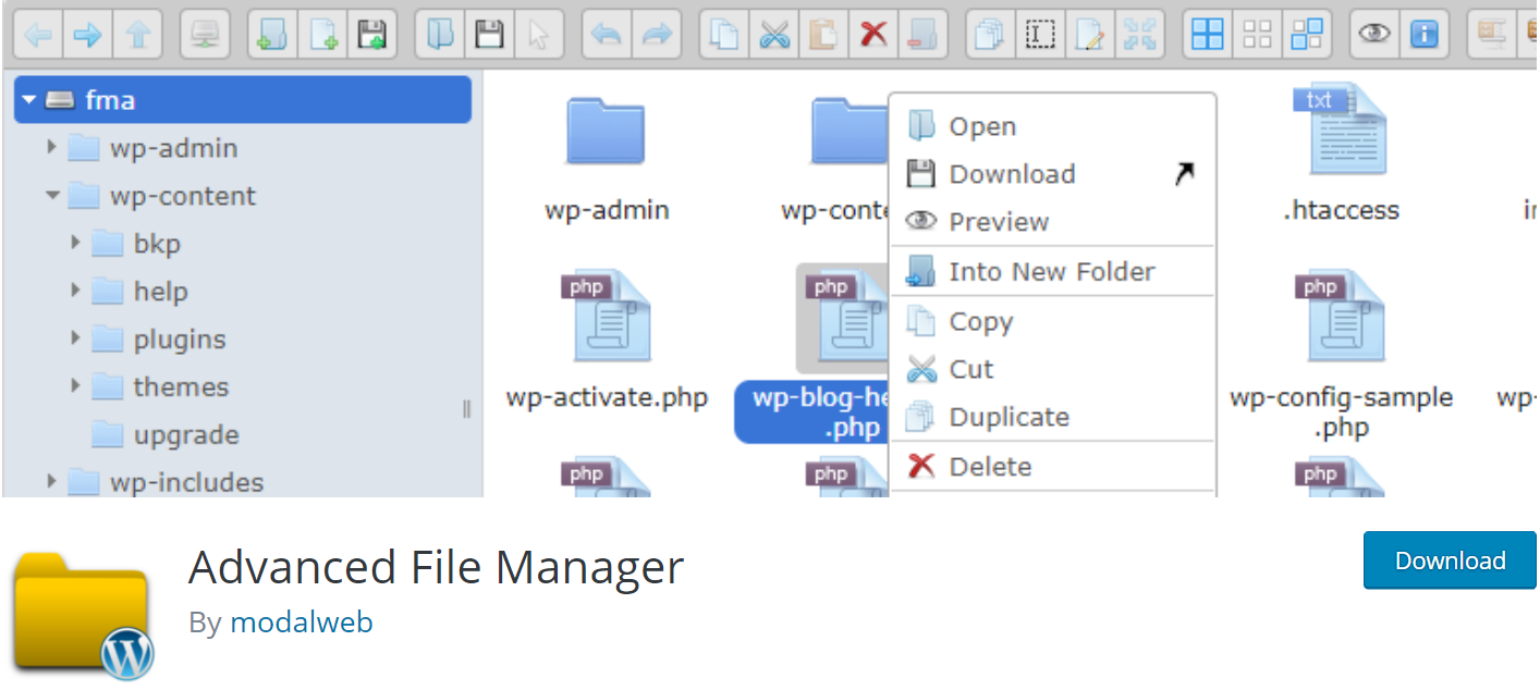 Advanced File Manager