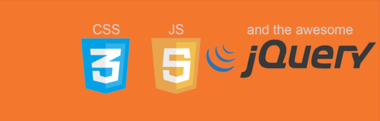 Custom Css/Js