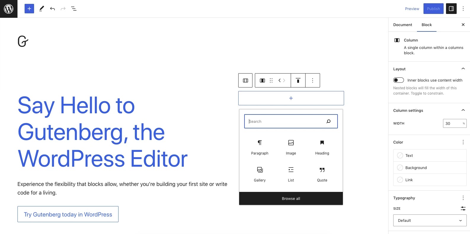 Gutenberg Editor General Infor